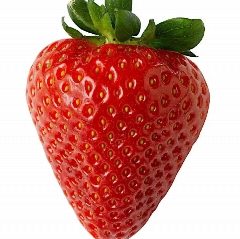 Канал 🍓🍓🍓НАТУРАЛЬНЫЕ ДЕРЕВЕНСКИЕ ПРОДУКТЫ В НОРИЛЬСКЕ в мессенджере MAX — 5 035 подписчиков