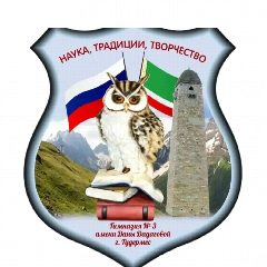 Канал Официальный канал МБОУ "Гудермесская Гимназия №3 им. Даны Дадаговой" в мессенджере MAX — 1 824 подписчика