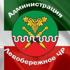Канал levoberchr в мессенджере MAX — 81 подписчик