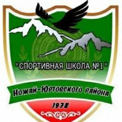 Канал ГБУ ДО "Спортивная школа № 1 Ножай-Юртовского района" в мессенджере MAX — 29 подписчиков