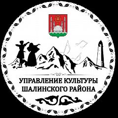 Канал МБУ "РДК Шалинского Муниципального района" в мессенджере MAX — 57 подписчиков