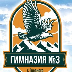 Канал МБОУ «Гимназия №3» г. Грозного в мессенджере MAX — 1 043 подписчика