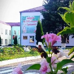 Канал МБДОУ № 133 «Серло» г. Грозного в мессенджере MAX — 29 подписчиков