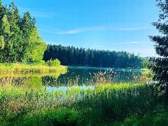 Канал ГАУ РБ Аскинский лесхоз в мессенджере MAX — 10 подписчиков