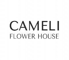 Канал Цветы Казань Доставка CAMELI в мессенджере MAX — 202 подписчика
