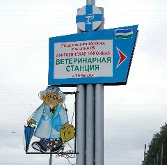 Канал ГБУ Аургазинская районная ветеринарная станция РБ в мессенджере MAX — 15 подписчиков