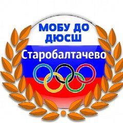 Канал МОБУ ДО ДЮСШ с.Старобалтачево в мессенджере MAX — 85 подписчиков