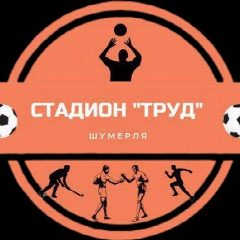 Канал МАОУ ДО "СШ" г. Шумерля в мессенджере MAX — 27 подписчиков