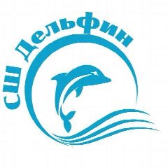Канал Спортивная школа "Дельфин" в мессенджере MAX — 52 подписчика