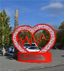 Канал КГБУЗ "ЦРБ, г.Заринск" в мессенджере MAX — 236 подписчиков