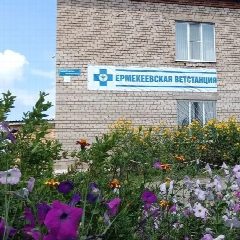Канал ГБУ ЕРМЕКЕЕВСКАЯ РВС в мессенджере MAX — 34 подписчика