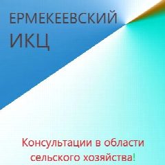 Канал Ермекеевский ИКЦ в мессенджере MAX — 31 подписчик