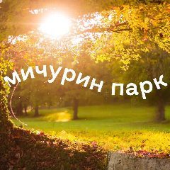 Канал УК Мичурин парк🌲 в мессенджере MAX — 739 подписчиков