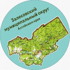 Канал Залесово. Главное в мессенджере MAX — 2 626 подписчиков