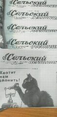 Канал Редакция газеты "Сельский вестник" в мессенджере MAX — 301 подписчик