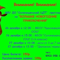 Канал МБУ ДО "Солонешенский ЦДТ" в мессенджере MAX — 33 подписчика