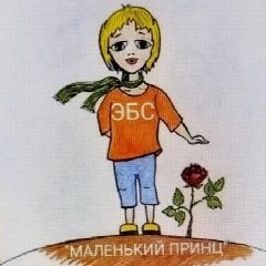 Канал МБУ ДО ЭБС "Маленький принц" в мессенджере MAX — 34 подписчика
