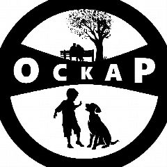 Канал "Оскар" Новочеркасск - Дрессировка собак, сухой корм, передержка собак 🐶 в мессенджере MAX — 247 подписчиков