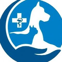 Канал ГБУ «Ветуправление города Геленджика» в мессенджере MAX — 17 подписчиков