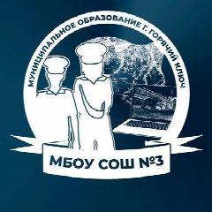 Канал МАОУ СОШ 3 им. И.Ф. Дамаскина в мессенджере MAX — 1 253 подписчика