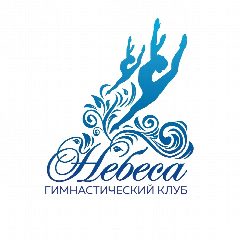 Канал Гимнастический клуб "Небеса" в мессенджере MAX — 357 подписчиков