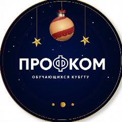 Канал Профсоюзная организация обучающихся КубГТУ в мессенджере MAX — 284 подписчика