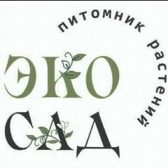 Канал Эко Сад Восточный | Питомник растений в мессенджере MAX — 263 подписчика