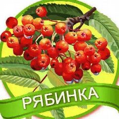 Канал МАДОУ ЦРР-д/с 18 "Рябинка" МО Кавказский район в мессенджере MAX — 189 подписчиков