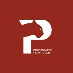 Канал PROVOCATOR | НОЧНОЙ КЛУБ в мессенджере MAX — 139 подписчиков
