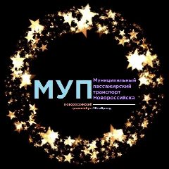 Канал МУП «МПТН» в мессенджере MAX — 229 подписчиков