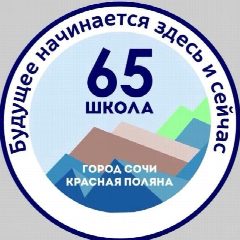 Канал МОБУ СОШ №65 им. Героя Советского Союза Турчинского А.П. в мессенджере MAX — 1 356 подписчиков
