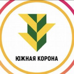 Канал Южная Корона в мессенджере MAX — 3 585 подписчиков