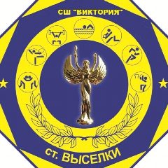 Канал МАУ ДО СШ "Виктория" ст. Выселки в мессенджере MAX — 862 подписчика