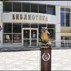 Канал Библиотеки Динского сельского поселения в мессенджере MAX — 19 подписчиков