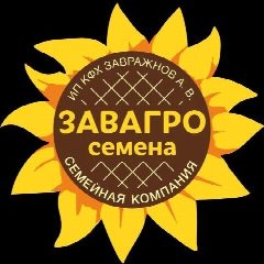 Канал ЗавАгро семена🌻🌽 в мессенджере MAX — 540 подписчиков