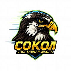 Канал МАУ ДО СШ "Сокол" в мессенджере MAX — 208 подписчиков