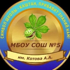Канал МБОУСОШ № 5 им. Котова А.А. в мессенджере MAX — 276 подписчиков