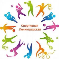 Канал Спортивная Ленинградская в мессенджере MAX — 252 подписчика