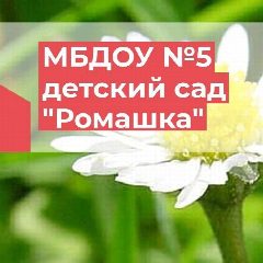 Канал МБДОУ №5 детский сад "Ромашка" села Шедок в мессенджере MAX — 70 подписчиков