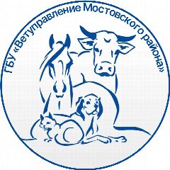 Канал ГБУ «Ветуправление Мостовского района» в мессенджере MAX — 38 подписчиков