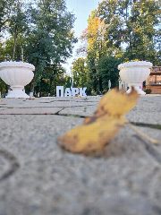 Канал Новокубанский парк культуры и отдыха в мессенджере MAX — 28 подписчиков