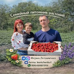 Канал Ферма Лесниченко 🍓Клубника 💜Лаванда🌱Теплица в мессенджере MAX — 4 050 подписчиков