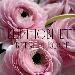 Канал ШИПОВНЕТ «Цветы и кофе» Краснодар в мессенджере MAX — 15 подписчиков
