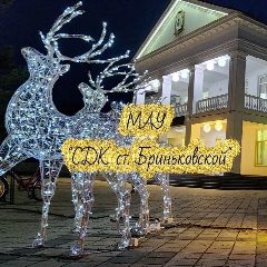 Канал Культура Бриньковской в мессенджере MAX — 254 подписчика