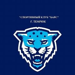 Канал МБУ ТГП ТР "СК "Барс" в мессенджере MAX — 12 подписчиков