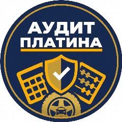 Канал Аудит Платина в мессенджере MAX — 53 подписчика