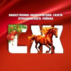 Канал Отрадная «Сельская жизнь» в мессенджере MAX — 2 926 подписчиков