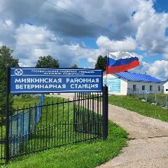 Канал ГБУ Миякинская райветстанция РБ в мессенджере MAX — 20 подписчиков