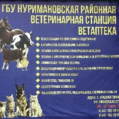 Канал ГБУ Нуримановская райветстанция РБ в мессенджере MAX — 15 подписчиков