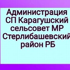 Канал АСП Карагушский сельсовет МР Стерлибашевский районРБ в мессенджере MAX — 35 подписчиков